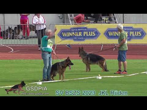 SV BSZS 2023  JKL Rüden