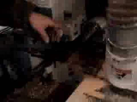 04 - Prezentare Agr. 4 fete