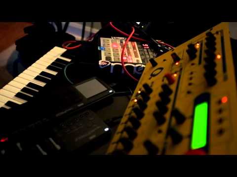 SP 303 Resampling method - #4 - Andy Ongulous