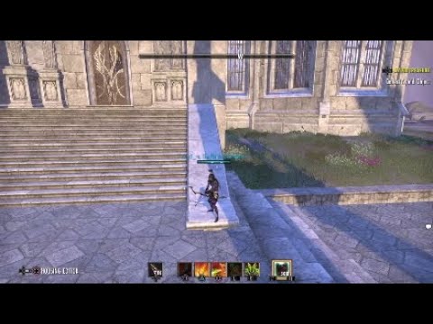 ESO Bow&Bow Stamdk PvP Build
