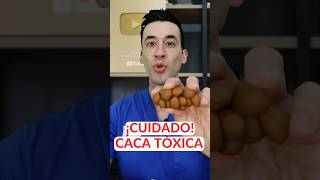 Download lagu BEWARE! TOXIC FECES💩 mp3 Download lagu BEWARE! TOXIC FECES💩 mp3