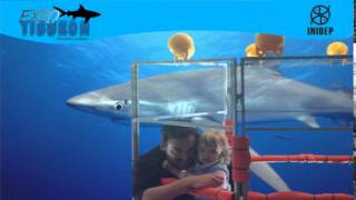 DIA 3 Expo Tiburon188