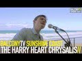 THE HARRY HEART CHRYSALIS - THE ...