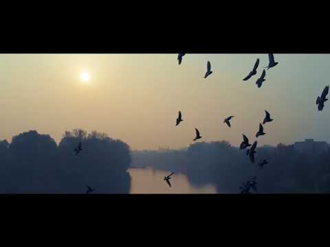 Liquid & Maniac - Realboys (Official Video)