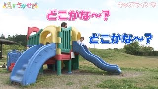 ペンギンをさがせ！ トイレットペーパー