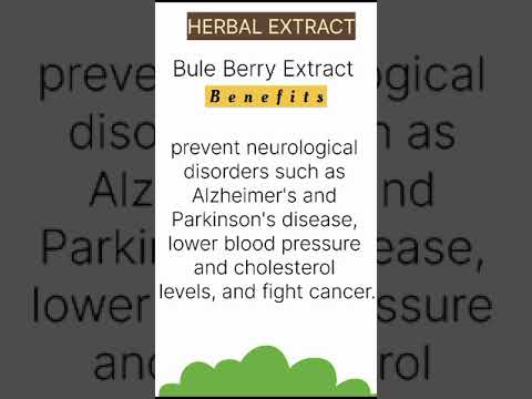 Purple colour blue berry extract, packaging type: polybag,hd...