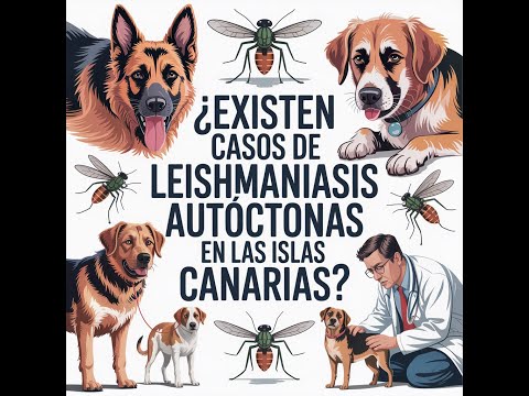 María Luisa Fernández, "Casos de leishmaniasis autóctonas en Canarias".  24 11 25  mp3