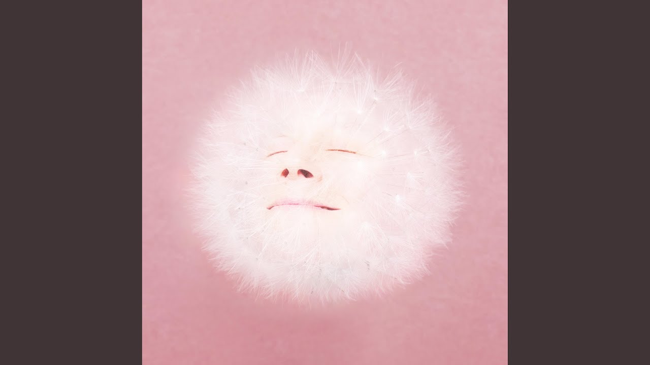 siestas ahí - Juana Molina 和訳 by radictionary