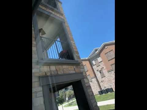 Glass Doctor - Recent job