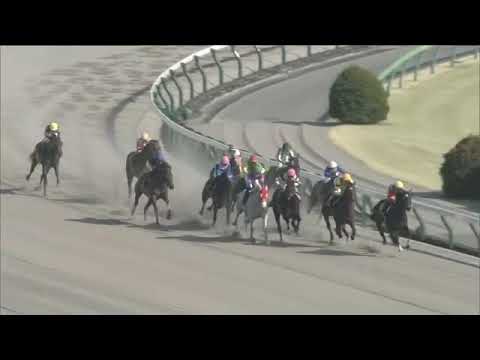 2021.02.21 Hyacinth Stakes (JPN) - La Perouse