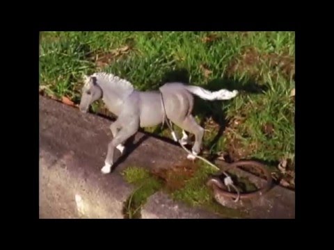 RISLEY - KILL THE CLOCK (Official Video)