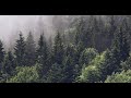 ESG Video