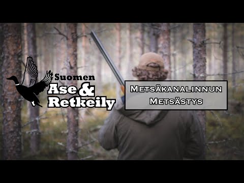 Metsäkanalintujen metsästys