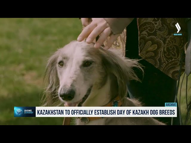 Kazakhstan to officially establish Day of Kazakh Dog Breeds