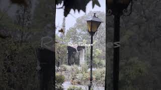 Drenched in Nostalgia: The Old Tin Roof Garden Braces the Storm #rain #shorts #villagelife