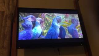 Rio 2 beautiful creatures