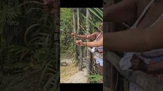 🌺 Join Me for a Magical Mother's Day Meetup in Tobago! 🌺