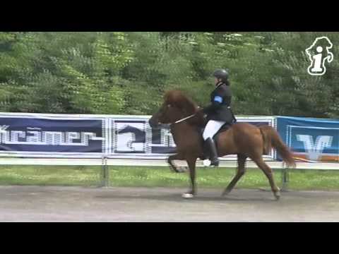 DIM 2013 - T2-Finale - www.isibless.de