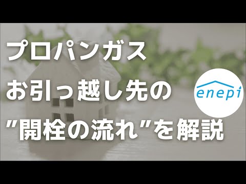 プロパン酸プロピル