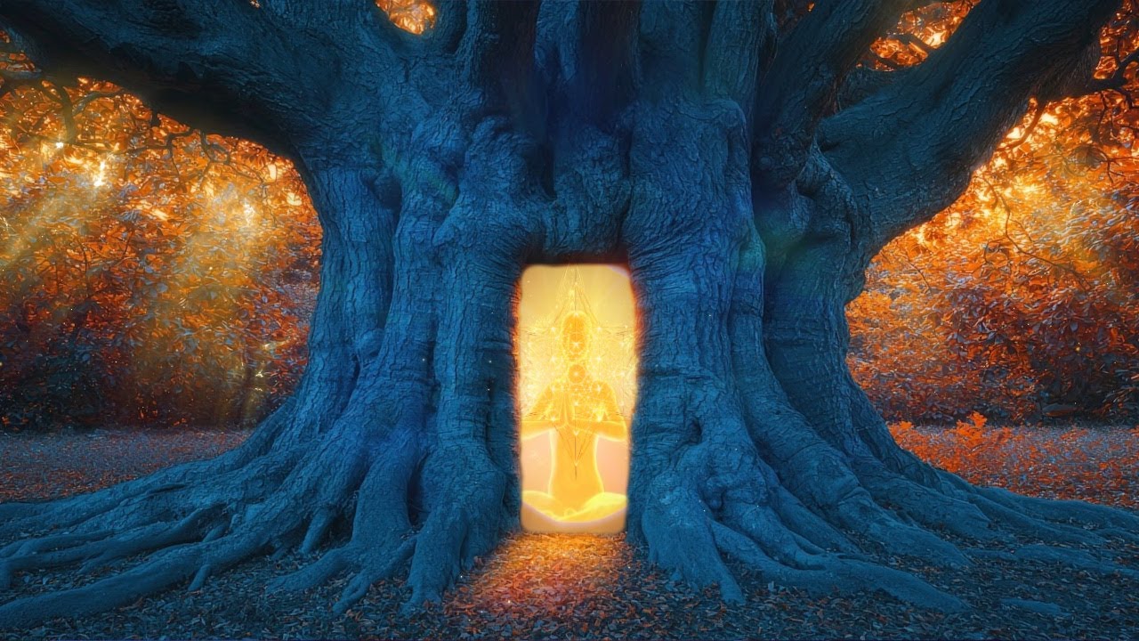 Ground Your Body To Rise Into The Light | 432 Hz+999 Hz Root To Crown Chakra Activation | Calm Music