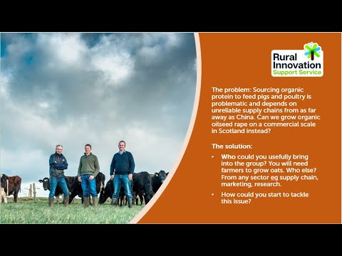 Farmer Trials: Growing Organic Oilseed Rape On a Commercial Scale