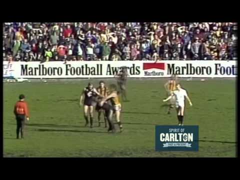 David McKay 1977 - Carlton Football Club Past Player
