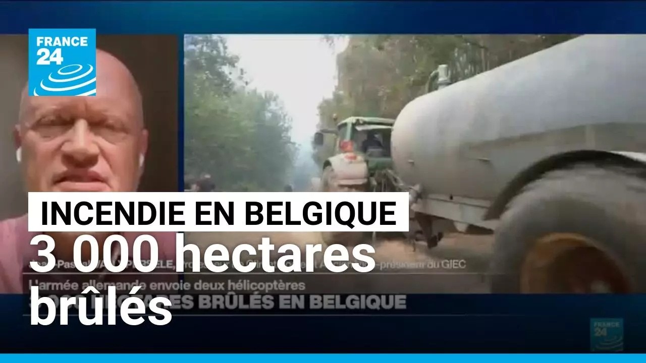 Illustration: Incendies en Belgique : l'alerte climatique ignorée depuis 20 ans