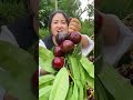 Mangosteen Can Only Bear Fruit On Trees That Are At Least Ten Years Old The Queen Of Fruits Fruit