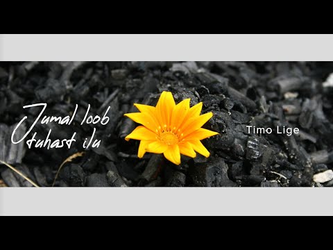 Timo Lige - Jumal loob tuhast ilu / Beauty From Ashes (Sermon Jam)