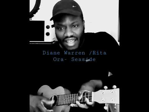Diane Warren & Rita Ora- Seaside (Ukulele Cover)