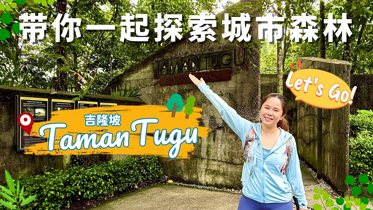 带你探索吉隆坡市区里的隐藏森林 / Hidden Forest in Kuala Lumpur | Taman Tugu Nature Trail
