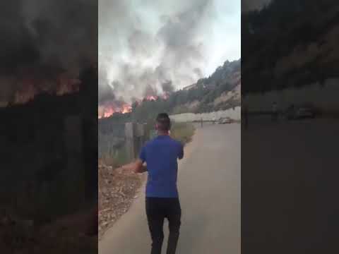 حرائق الان في بجاية  العصابة تنتقم من الشعب حرائق في كل مكان وكأنها القيامة.