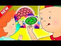 Caillou Plays With FIDGET SPINNER And SLIME Caillou New Adventures WildBrain Bananas
