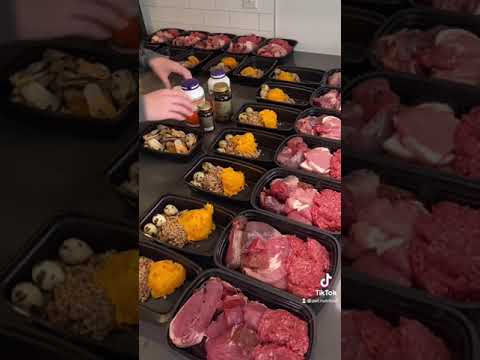 Raw dog food meal prep!