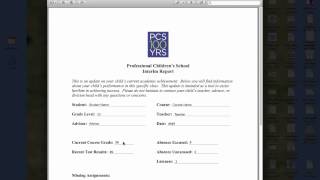 Writing Interim Reports