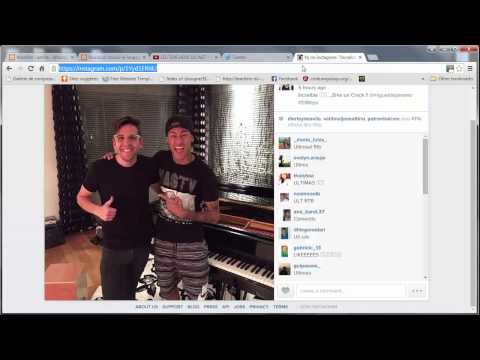 Tutoriel Wordpress 16 Intégration de vidéos Youtube de Tweets de posts Instagram