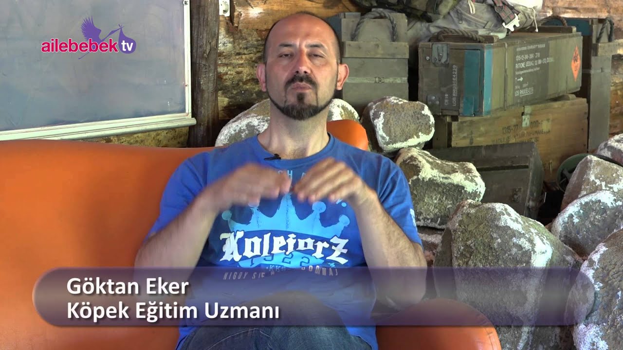 Çocuklar köpekleri kıskanır mı?