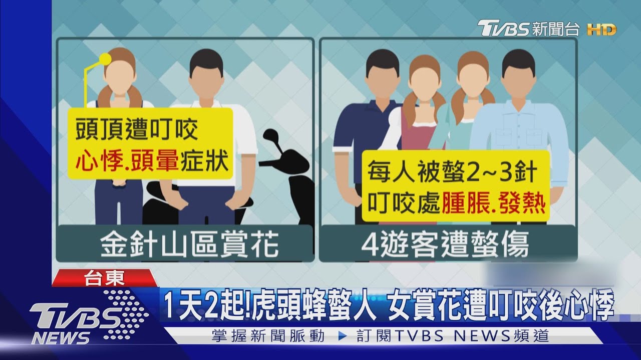 1天2起!虎頭蜂螫人 女賞花遭叮咬後心悸