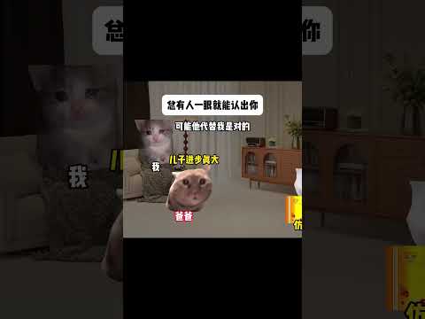 #猫meme #搞笑 #表情包