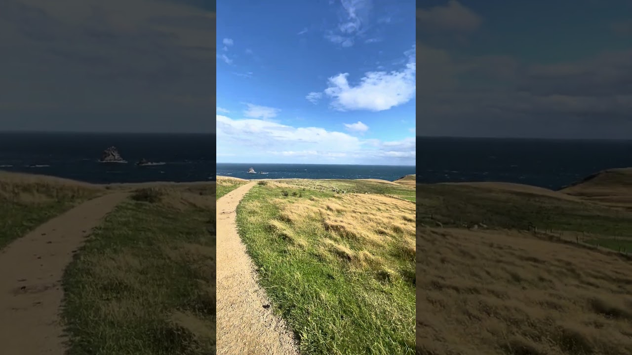 YouTube Short thumbnail