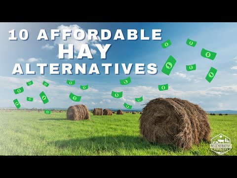 10 Affordable Hay Alternatives for Feeding your Animals