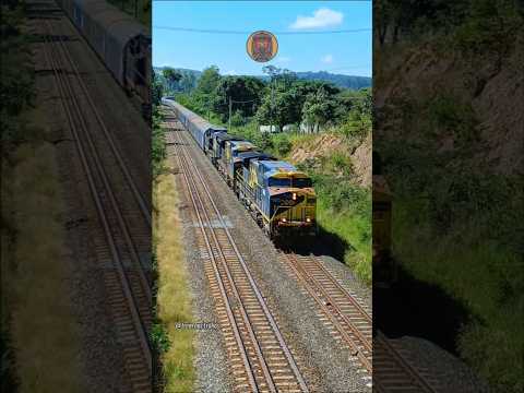 TREM DA MRS LOGÍSTICA ACESSANDO O AMV (APARELHO DE MUDANÇA DE VIA) #railtrack #railway #train