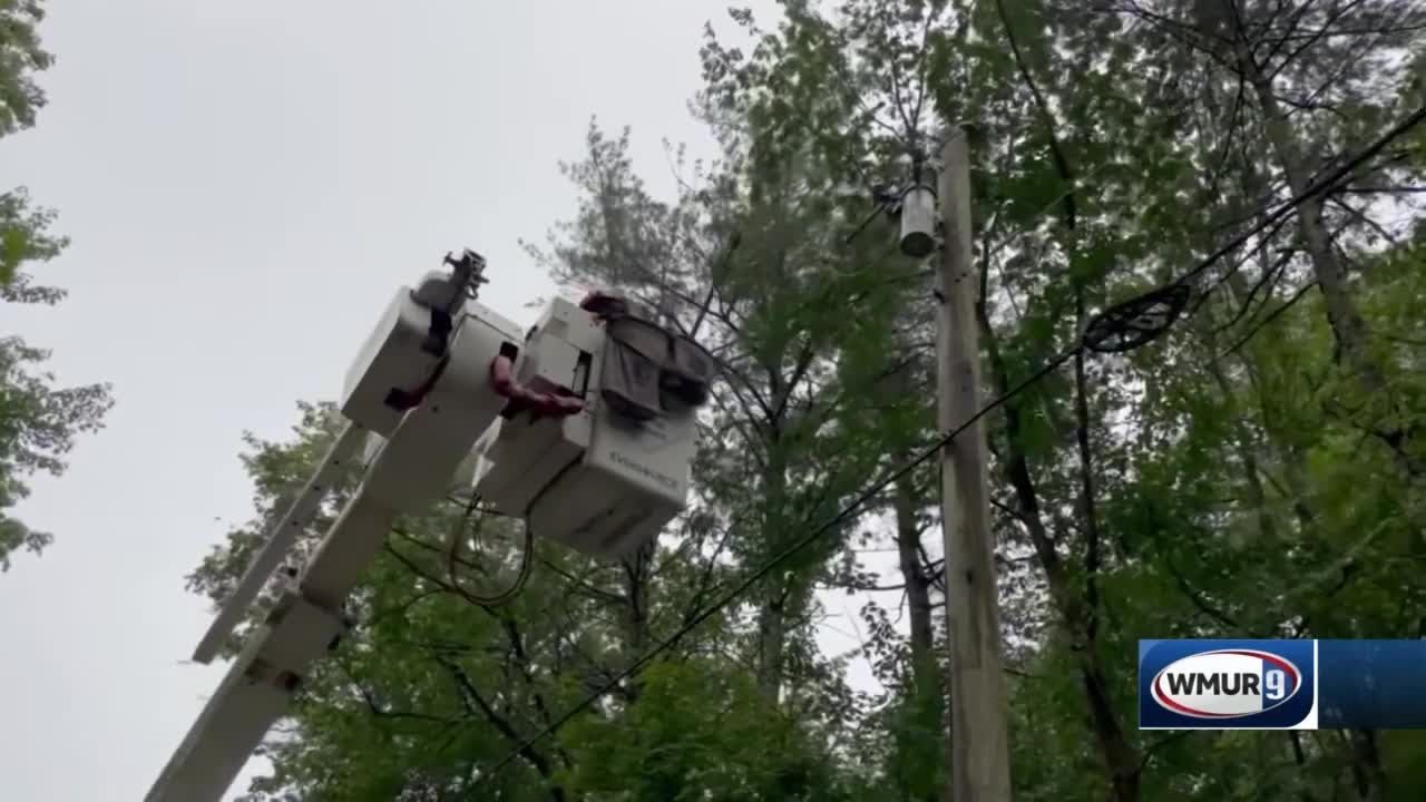 Trees weakened by drought, invasive insects pose safety risks