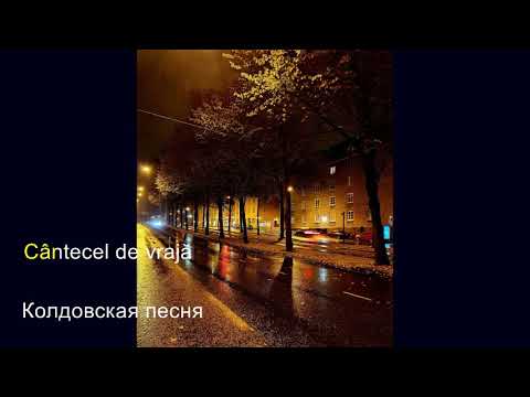 Zdob si Zdub x Irina Rimes   Sanziene с лирикой + перевод