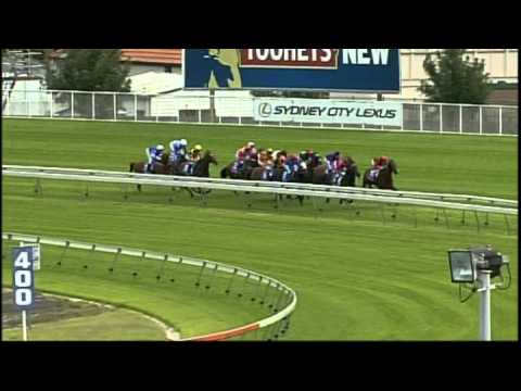 2008 - The Inglis Galaxy - Typhoon Zed