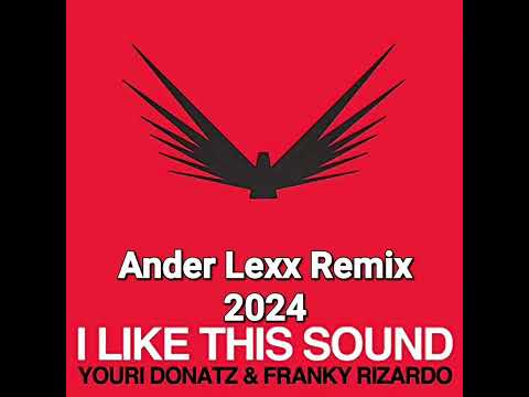 Youri Donatz &Franky Rizardo-i Like This Sound ( Ander Lexx 2024 After Edit)