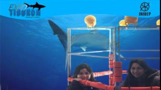 DIA 3 Expo Tiburon171