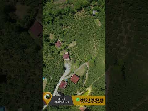 YouTube Shorts Önizleme