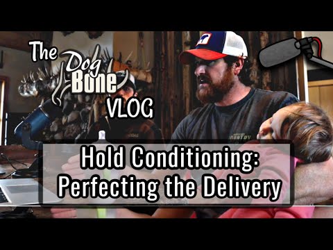 Hold Conditioning From the Start: Perfecting the Delivery | The DogBone VLOG: Ep: #60