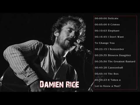 Damien Rice Best Of - Damien Rice Greatest Hits - Damien Rice Full Album